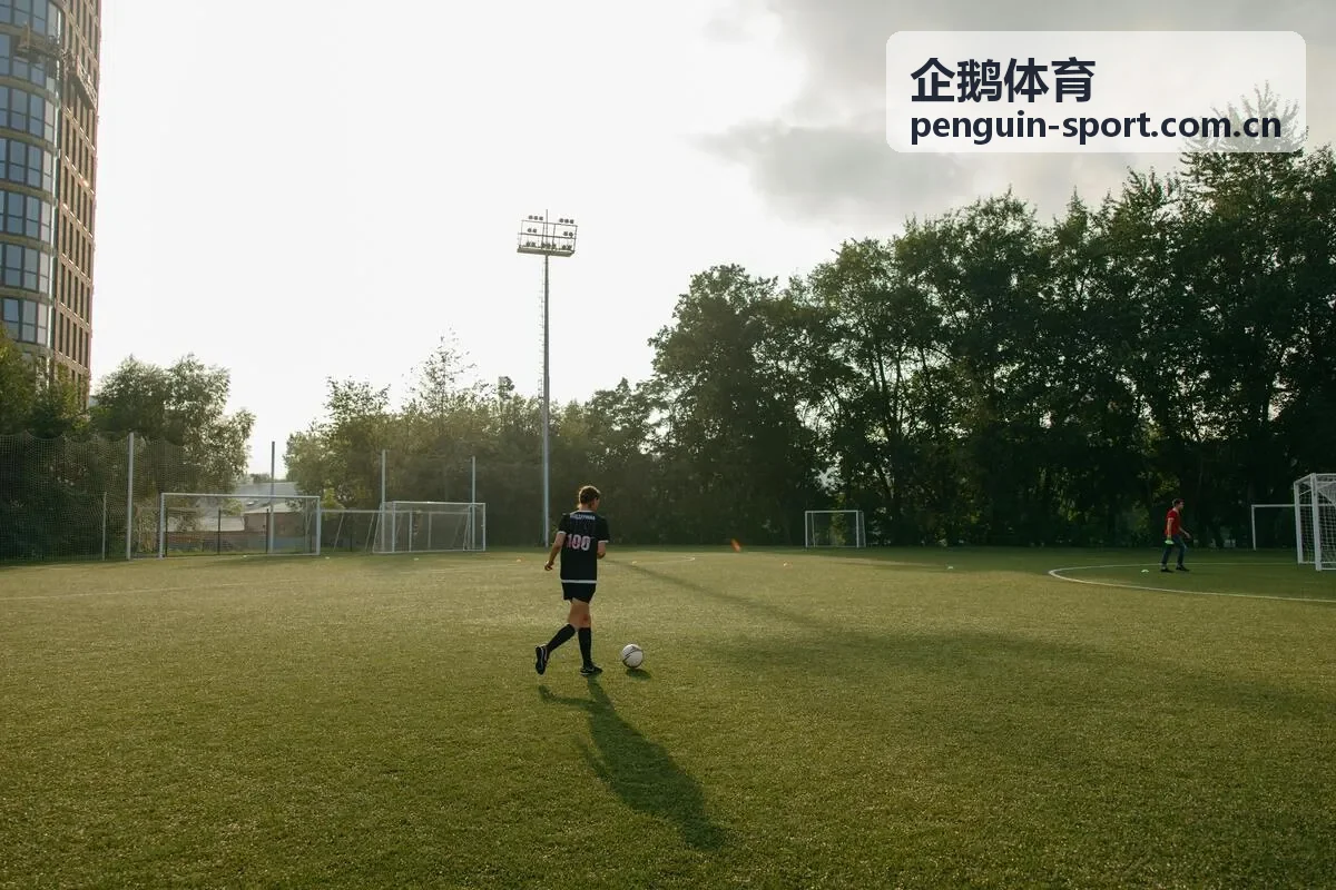 企鹅体育功能性康复训练