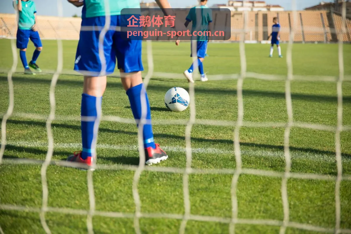 企鹅体育游泳私教定制课教学
